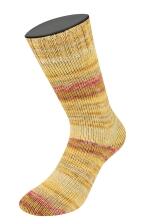 Lana Grossa Landlust Sockenwolle 100g Farbe: 412