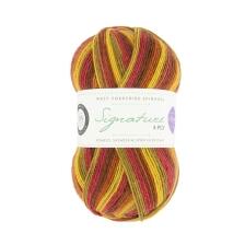 West Yorkshire Spinners Signature 4ply Winwick Mum "Seasons " Farbe: Autumn Leaves