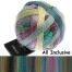 Schoppel Wolle Edition 6.0 50g Farbe: All Inclusive