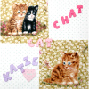 Buchstabenhits für Kids 18mm - 2-Loch Knopf    "C   " - Beispielbild  "Katze-cat-chat "