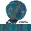 Schoppel Wolle Edition 3.0 aus 100% Merino Schurwolle extrafein Farbe: Waschtag