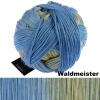 Schoppel Wolle Gradient - Merinogarn mit langem Farbverlauf Farbe: Waldmeister