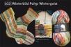 Opal  Hundertwasser  4fach Sockengarn 100g Farbe: 2104 Winterbild Polyp Wintergeist