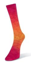 Laines du Nord Watercolor Sock 100g Farbe: 202