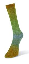 Laines du Nord Watercolor Sock 100g Farbe: 203