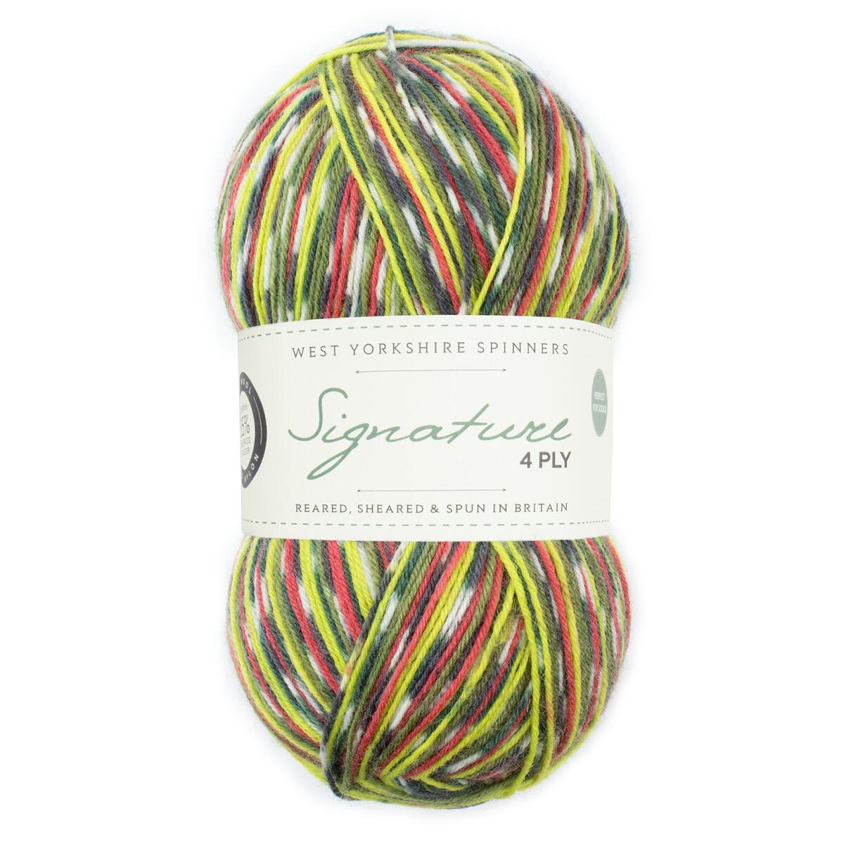 West Yorkshire Spinners Signature 4ply     "Country Birds    " 100g Farbe: Woodpecker