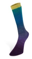 Laines du Nord Harmonious Sock 100g Farbe: 007