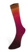 Laines du Nord Harmonious Sock 100g Farbe: 008