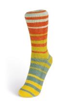 Laines du Nord Summer Sock 80g Farbe: 107