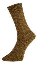 Pro Lana Golden Socks TITLIS - 100g Sockenwolle Farbe: 584