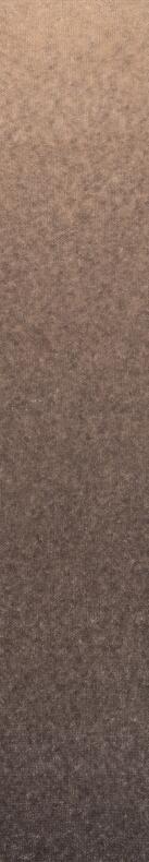 Laines du Nord Cashsilk Cotton Degradé 50g Farbe: 014 Beige-Braun Verlauf