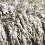 230663_original_R_K_by_Thomas_Blenkers_pixelio_de_tmb