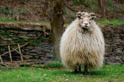 373004_original_R_K_by_wave111_pixelio_de_kk