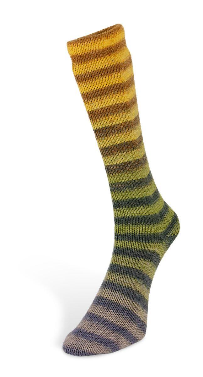 Laines du Nord 6ply Paint Sock 150g Farbe: 002