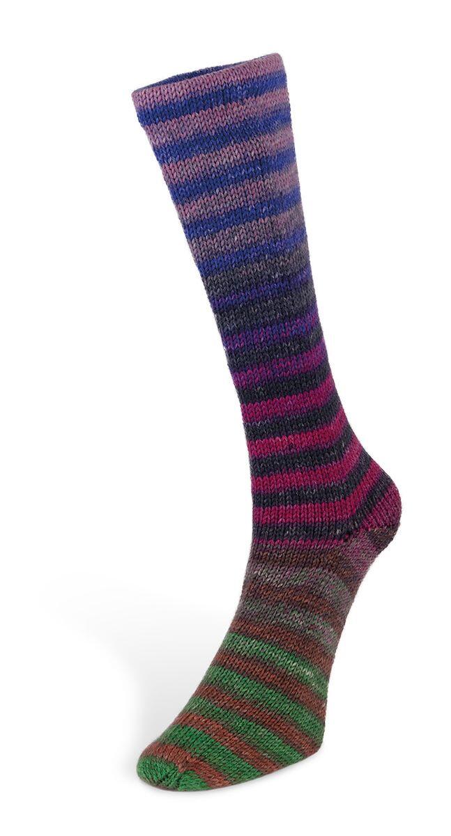 Laines du Nord 6ply Paint Sock 150g Farbe: 004