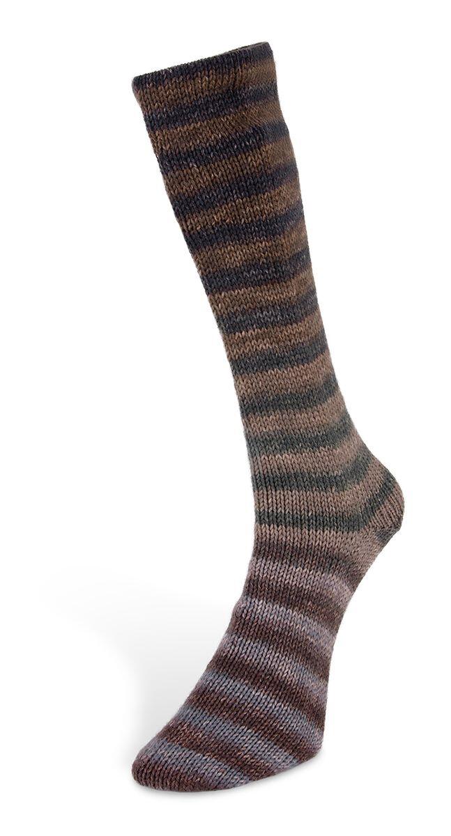 Laines du Nord 6ply Paint Sock 150g Farbe: 005