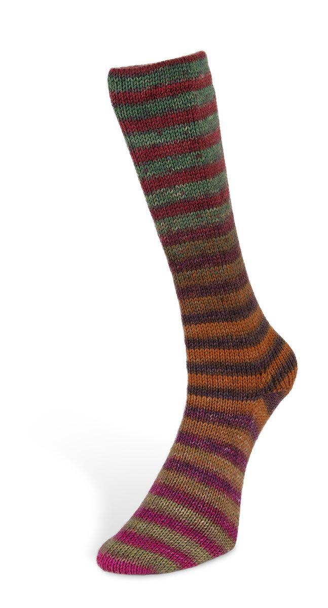 Laines du Nord 6ply Paint Sock 150g Farbe: 006
