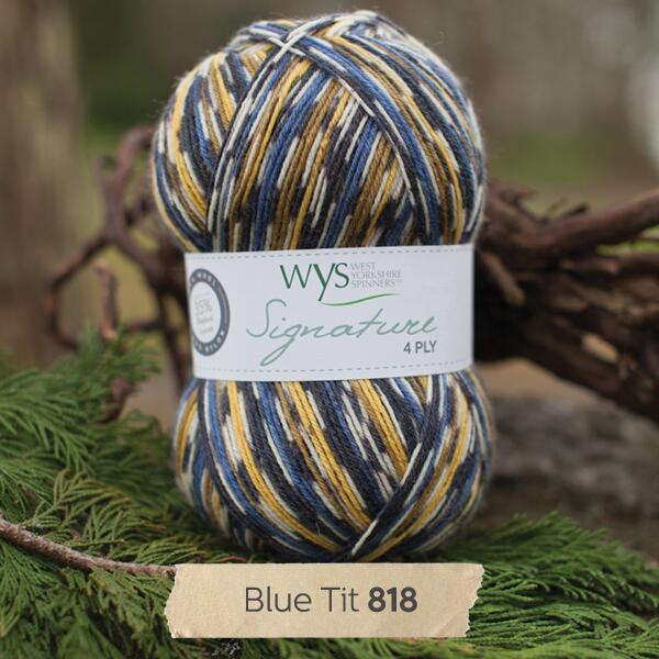 West Yorkshire Spinners Signature 4ply  "Country Birds " Farbe:  Blue Tit