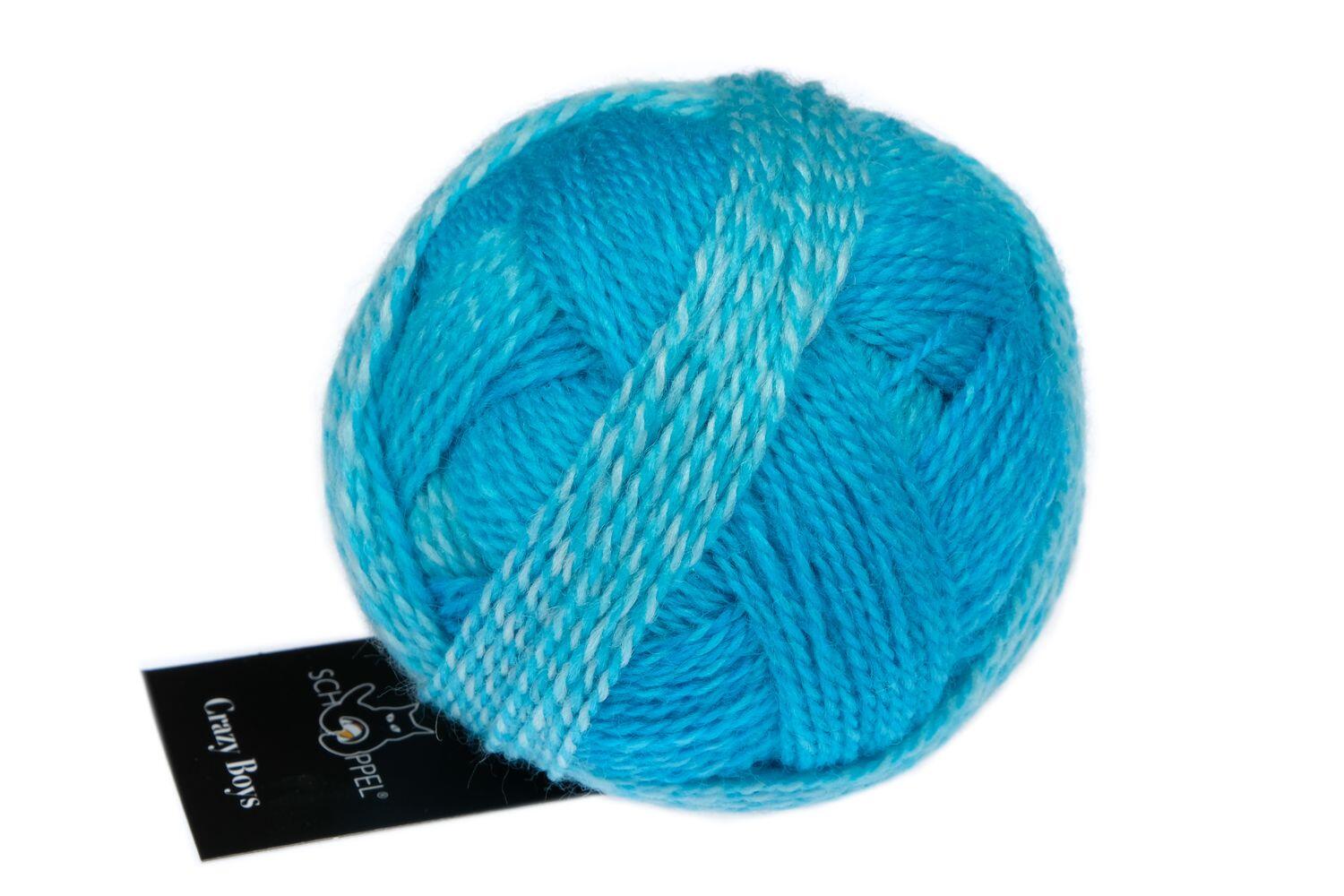 Schoppel Wolle Crazy Boys 50g Farbe: 2696 Ludwig
