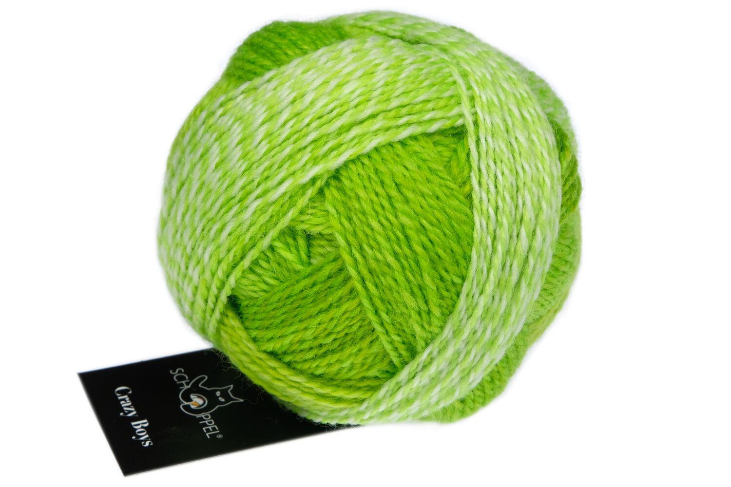 Schoppel Wolle Crazy Boys 50g Farbe: 2697 Kurt Georg