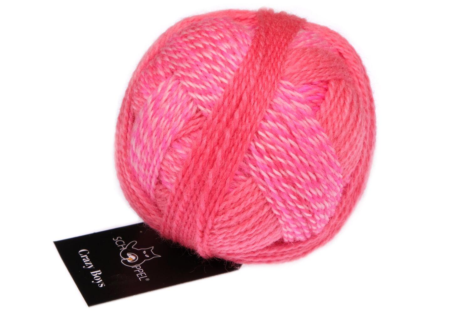 Schoppel Wolle Crazy Boys 50g Farbe: 2701 Willy