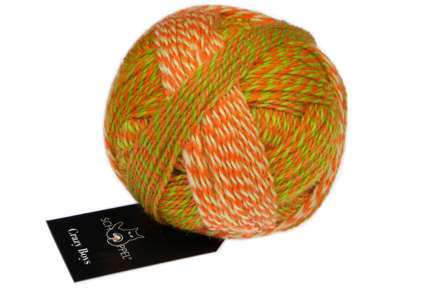 Schoppel Wolle Crazy Boys 50g Farbe: 2706 Olaf