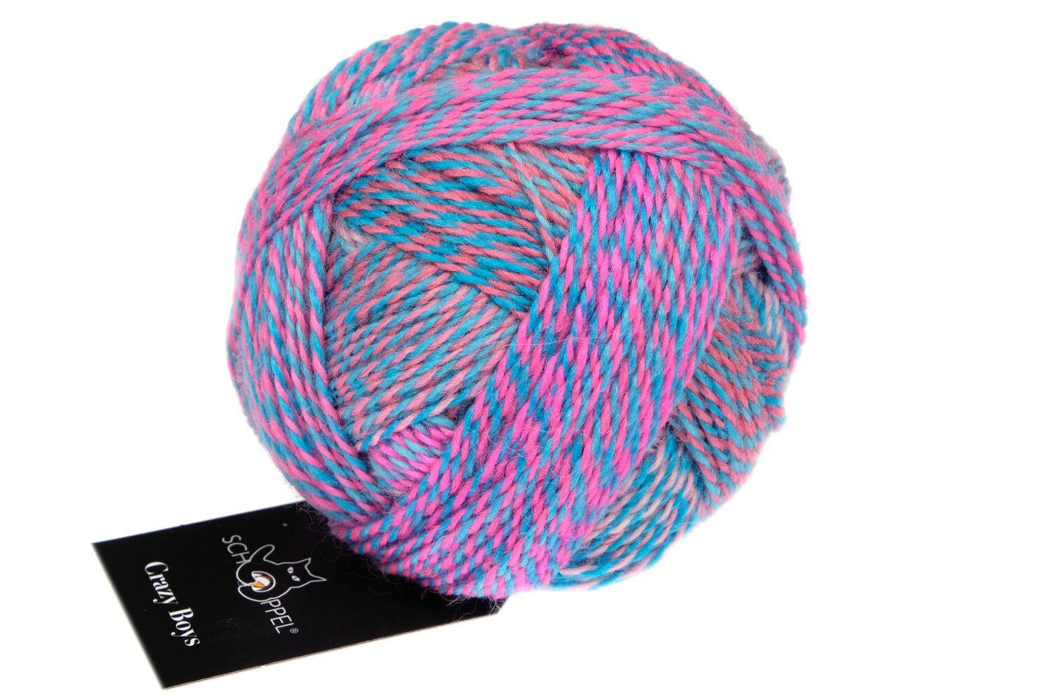 Schoppel Wolle Crazy Boys 50g Farbe: 2709 Christian