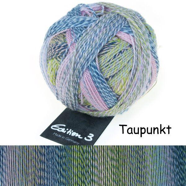 Schoppel Wolle Edition 3.0 aus 100% Merino Schurwolle extrafein Farbe: Taupunkt