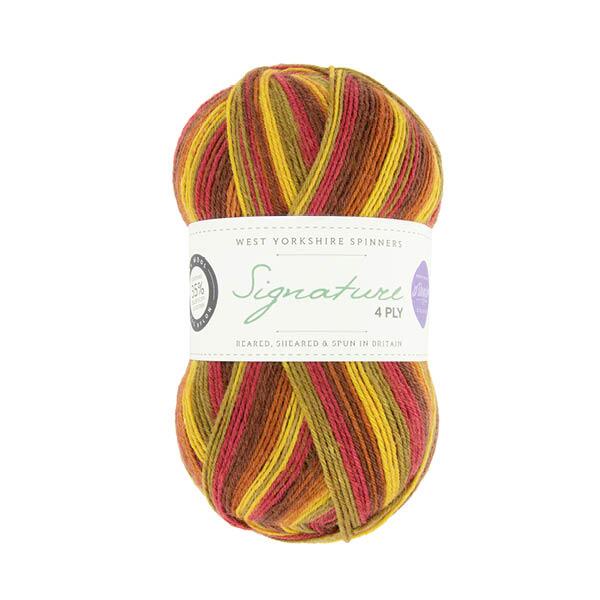 West Yorkshire Spinners Signature 4ply Winwick Mum  "Seasons " Farbe: Autumn Leaves