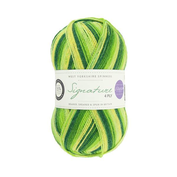 West Yorkshire Spinners Signature 4ply Winwick Mum  "Seasons " Farbe: Spring Green