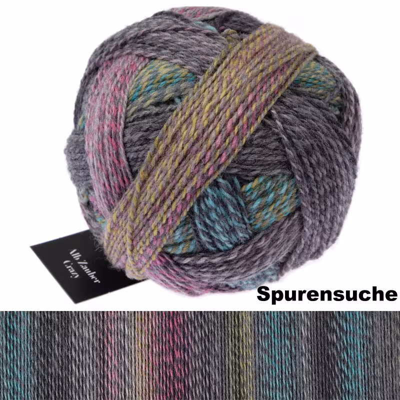 Schoppel Wolle Zauberball® Alb Zauber Crazy 100g Farbe: Spurensuche