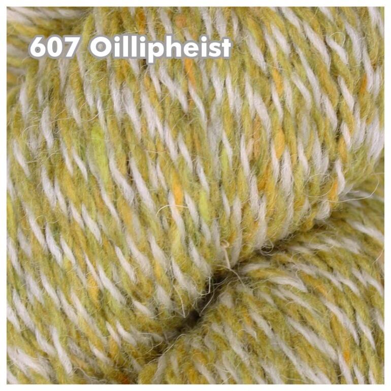 Baa Ram Ewe Donegal Twists DK 100g Farbe: 607 Ollipheist
