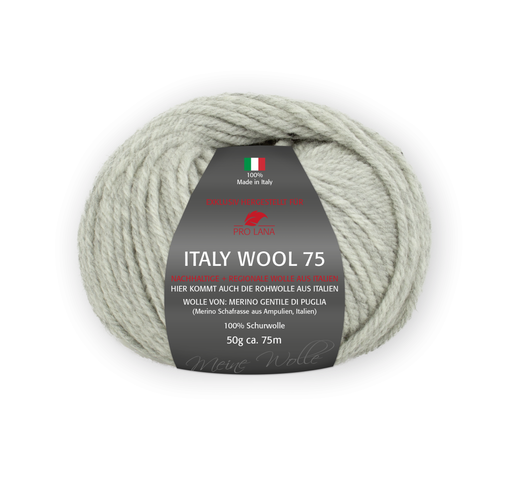Pro Lana Italy Wool 75 50g Farbe: 291 Hellgrau meliert