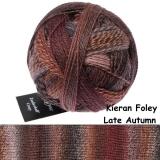 Schoppel Wolle Zauberball® Crazy 4fach 100g Farbe: Late Autumn Insp. by Kieran Foley