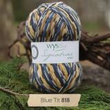 West Yorkshire Spinners Signature 4ply "Country Birds " Farbe: Blue Tit