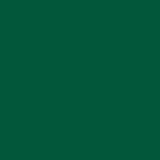 Filz- und Bastelwolle - Wollvlies in 10 Farben zum nass- und trockenfilzen Farbe Tannengrün
