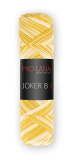 Joker 8 color mehrfarbiges Häkelgarn aus reiner Baumwolle NM14/8 Farbe: 541