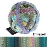 Schoppel Wolle Zauberball® Crazy Cotton Stärke 4 Farbe: Erntezeit