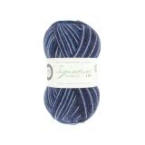 West Yorkshire Spinners Signature 4ply "Sparkle " Silent Night