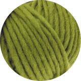 Lana Grossa Feltro uni - Filzwolle zum Strickfilzen Farbe: 21 oliv
