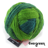 Schoppel Zauberball 100 - Sockengarn in vielen kreativen Färbungen aus 100% Schurwolle vom Merinoschaf Evergreen