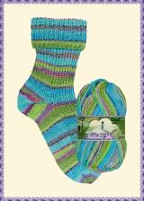 Opal Sockenwolle "Fantastic SKY " 150g 6-fach Sockengarn Farbe: 11220 rasante Bücherreise