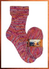 Opal Sockenwolle "Country " 4-fach Sockengarn 100g Farbe: Flammenwärme