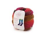 Laines du Nord Harmonious Sock 100g