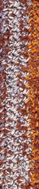 Laines du Nord Folie Bag 100g Farbe: 103