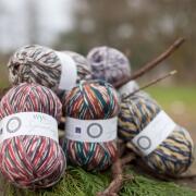 West Yorkshire Spinners Signature 4ply Country Birds