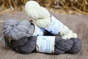 West Yorkshire Spinners Bluefaced Leicester DK - Natural Collection