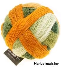 Schoppel Wolle Lace Ball 100 - Lacegarn aus Merinowolle Farbe: Herbstmeister