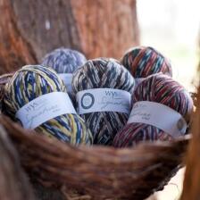West Yorkshire Spinners Signature 4ply  "Country Birds "