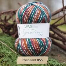 West Yorkshire Spinners Signature 4ply "Country Birds " Farbe: Pheasant
